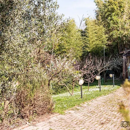 Сasa de vacaciones Il Glicine Palaia